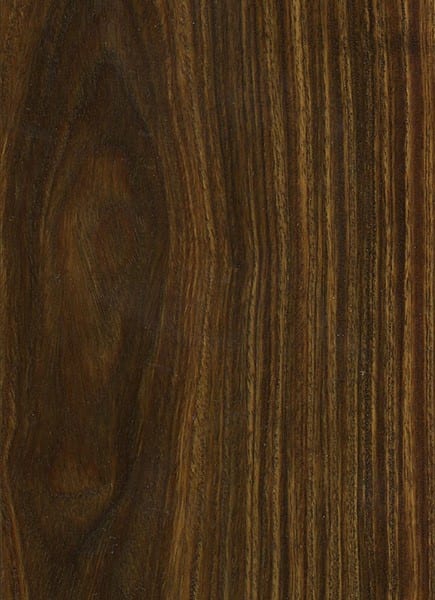 4 - Lignum Vitae, the Tree of Life