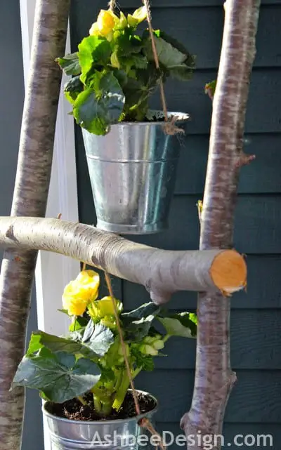 11 - Make your Way with A Branch Ladder