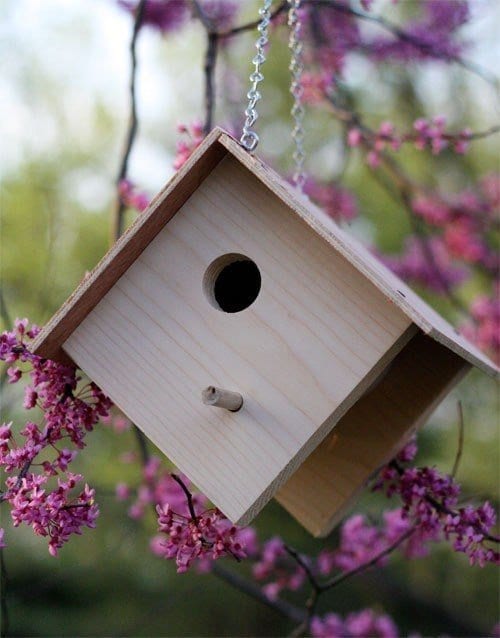 Easy Wooden Bird House