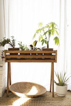 13 Plant Stand