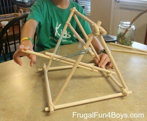 Homemade Catapult