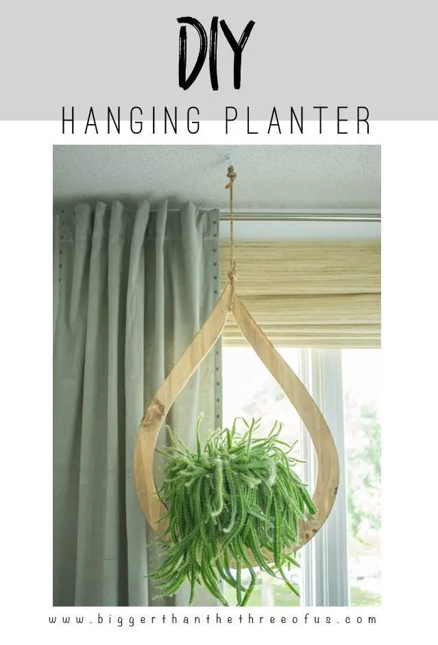 Diy Hanging Planter