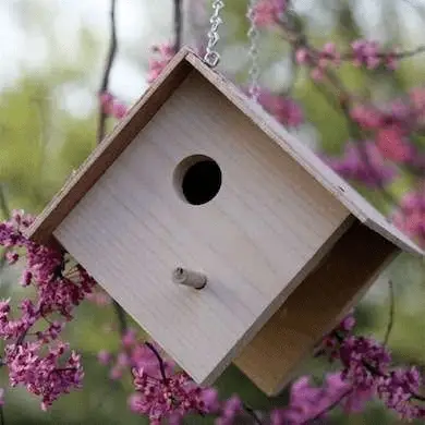 Wooden Outdoor Birdhouse