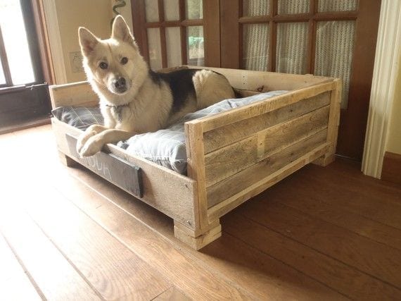 Comfortable Sofa For Dogs