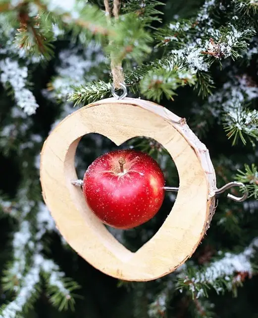 17 Apple Inside A Heart