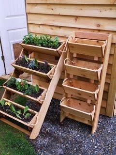 17 Urban Herb Garden