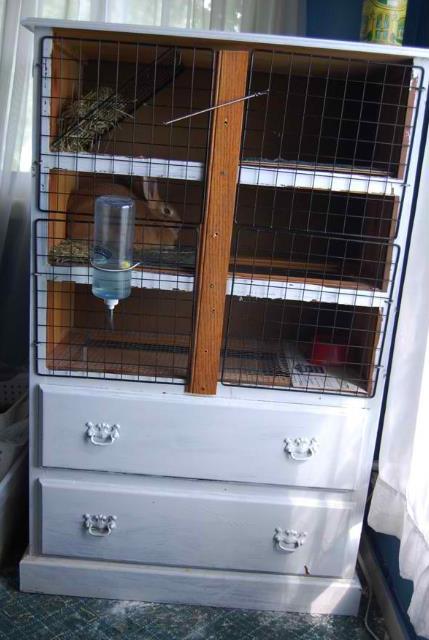 An Old Dresser Makes The Ideal Rabbit Hutch