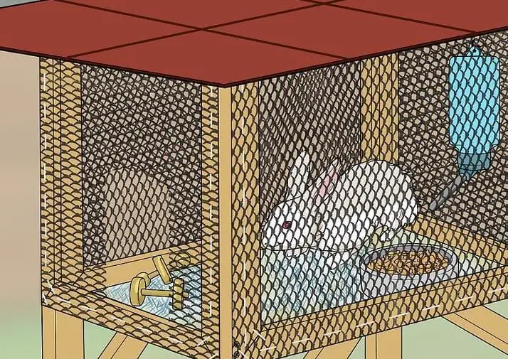 Basic Rabbit Hutch Plan And The Science Behind It