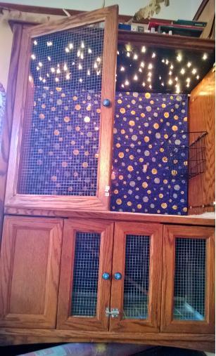 Lighted Ceiling And Tiled Floors Rabbit Hutch