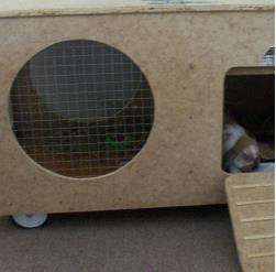 Mobile Rabbit Hutch Inside Your Home