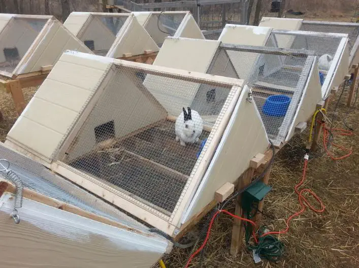 Rabbit Hutch With An A Frame