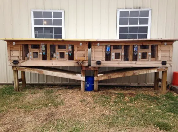 Rabbit Hutch With Poop Catcher