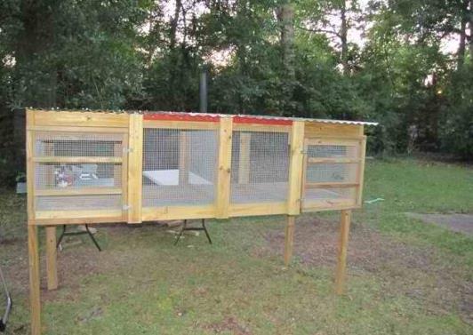Simple And Spacious Rabbit Hutch