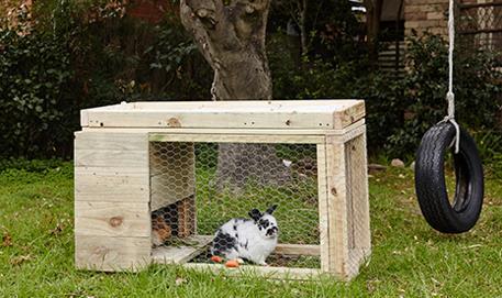 The Complete Tutorial For Building The Rabbit Hutch In One Website