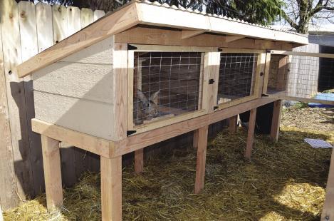 Three Chamber Rabbit Hutch