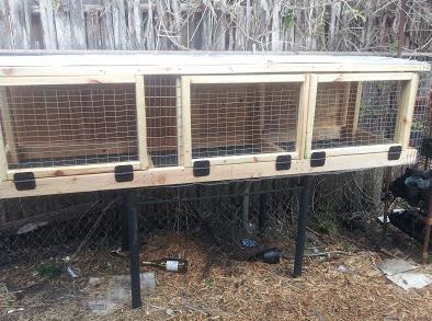 Trial And Error Rabbit Hutch