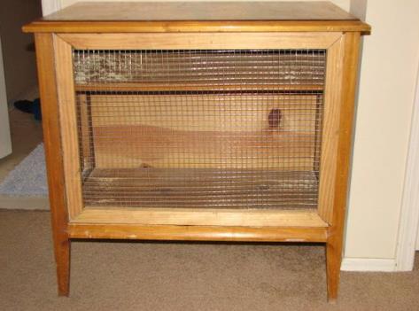 Turn Your End Table Into A Rabbit Hutch