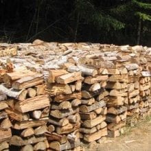 How Long To Season Wood? – Cut The Wood