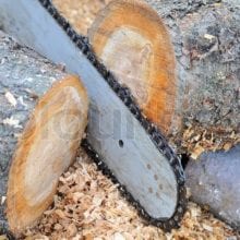 How to Cut Wood Slices with Chainsaw