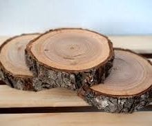 How to Dry Wood Slices