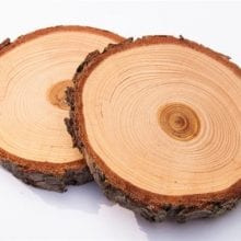 How to Preserve Wood Slices From Drying Out