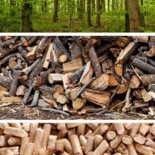 Is Wood a Fossil Fuel?