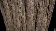Is Wood a Pure Substance?