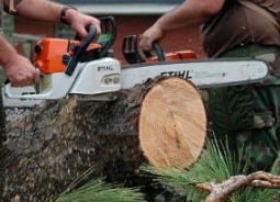 Learn How To Control A Chainsaw