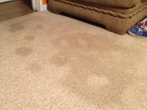 Remove Old Furniture Stains From Carpet