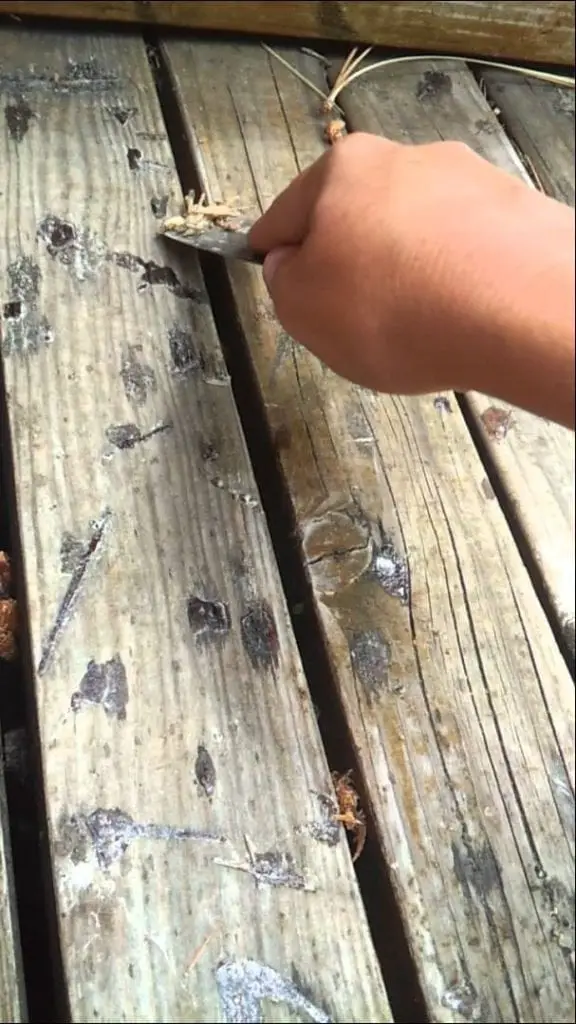 Removing Fresh Sap Step 2