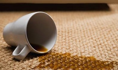 Removing The Water Based Wood Stain From Carpet