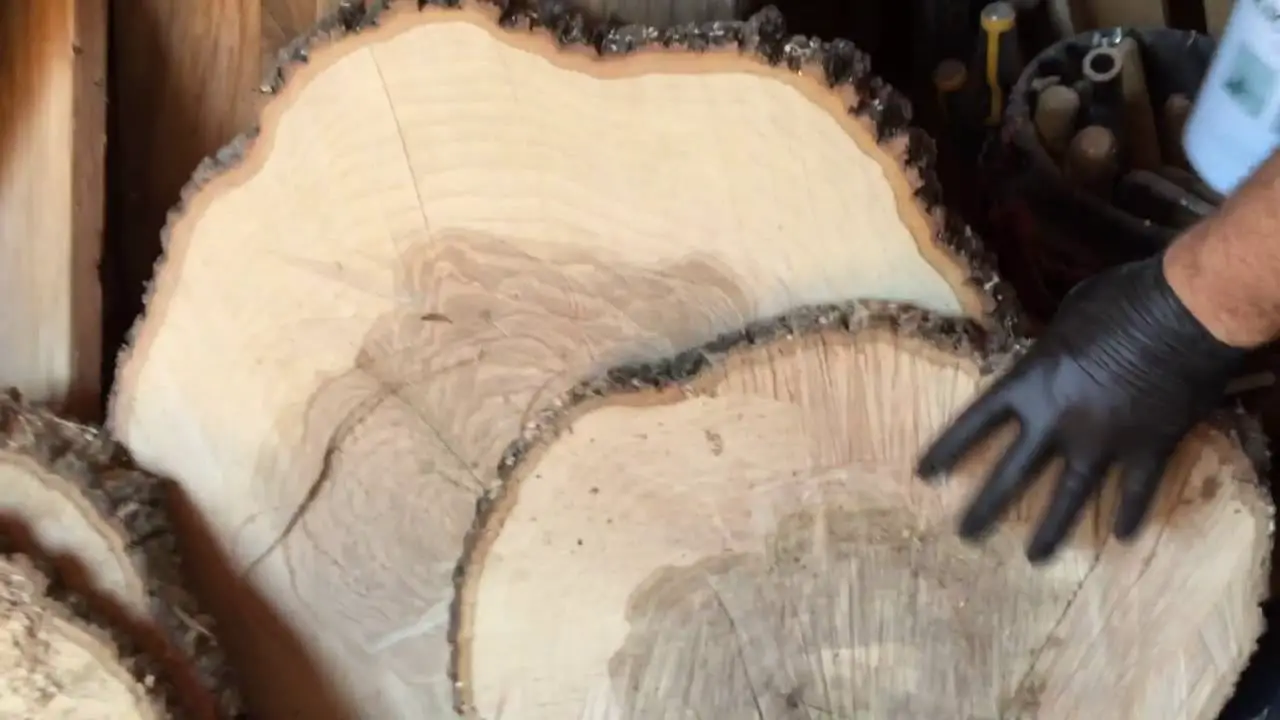 How To Preserve Wood Slices From Drying Out Cut The Wood