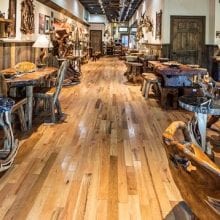 What is Teak Wood?