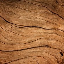 What is Wood?