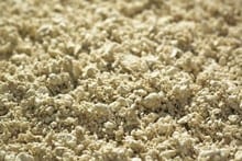 What is Wood Pulp?