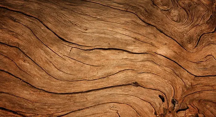 What is Wood? – Cut The Wood