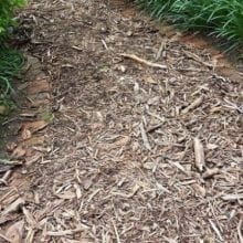 What to Do with Wood Chips From Chipper?