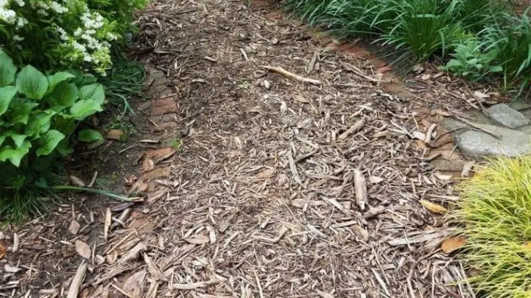 What To Do With Wood Chips From Chipper