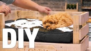 Diy Pallet Dog Bed By Ozito