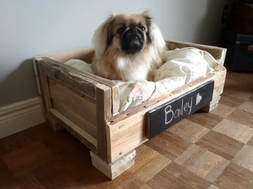 Diy Pallet Dog Bed – Cute And Practical