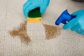 How To Remove Wood Stain From Carpet