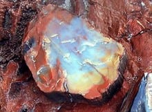 How to Petrify Wood