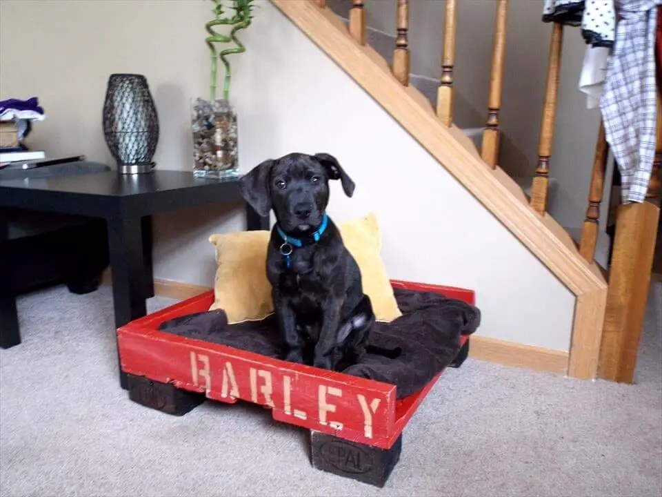 Repurposed Diy Pallet Dog Bed