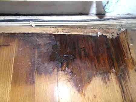 Step 2 How To Fix Warped Wood Floor