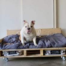 16 Pallet Dog Bed DIY Plans