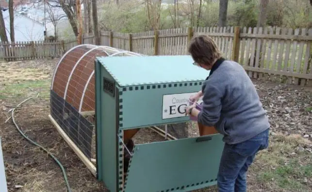 4 X 10 Chicken Tractor Design