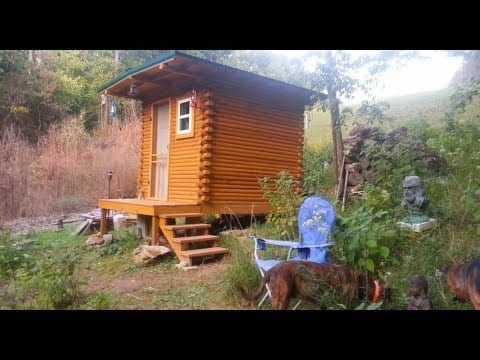 8 X 8 Tiny Cabin Style Shed