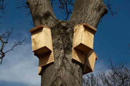 A Diy Bat House From The Diy Doctor