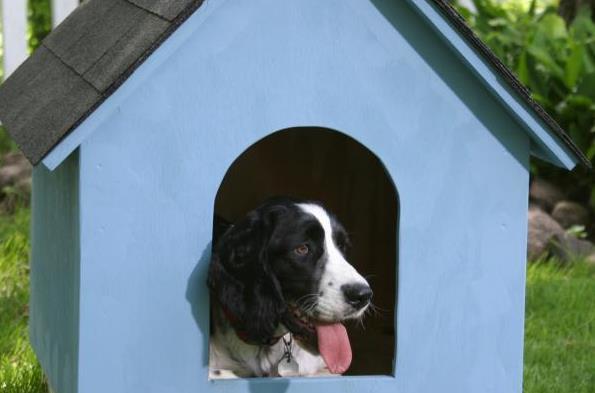 A Frame Simple Dog House Plan