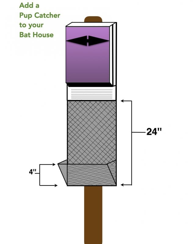 A Simple Bat House And Pup Catcher 2